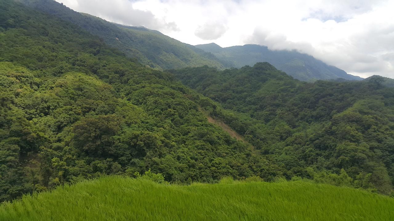 五葉松民宿-電梯民宿 近慈濟中小學及慈科大及人社院 Hualien Eksteriør bilde