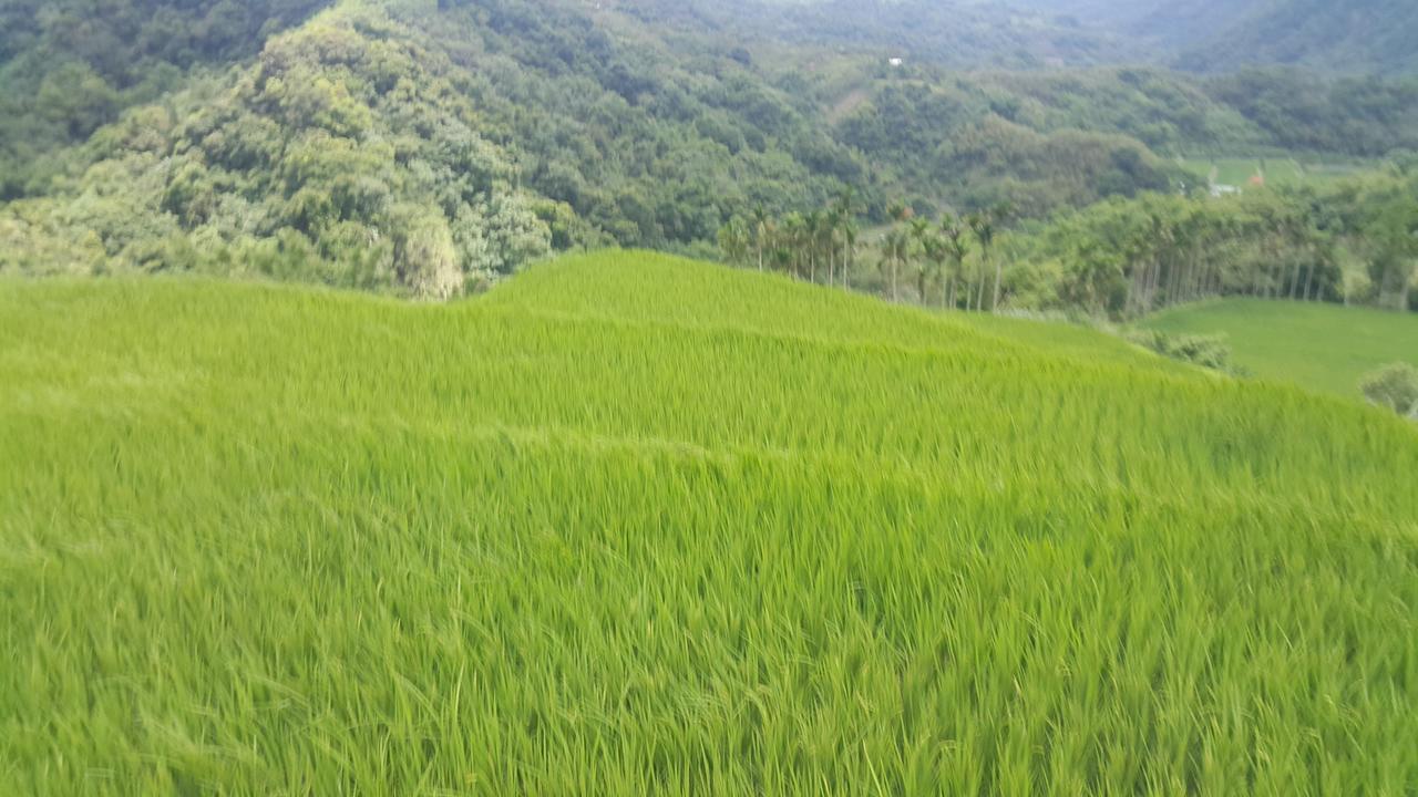 五葉松民宿-電梯民宿 近慈濟中小學及慈科大及人社院 Hualien Eksteriør bilde